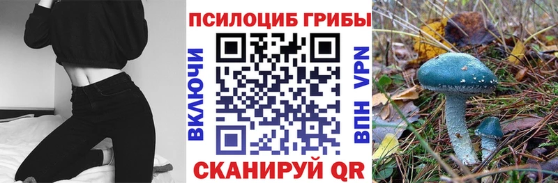 Псилоцибиновые грибы Psilocybine cubensis  где найти наркотики  KRAKEN ONION  Карталы 
